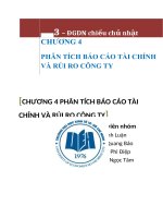 Phân tích báo cáo tài chính và rủi ro công ty 