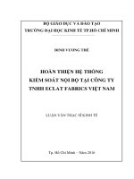 Hoàn thiện hệ thống kiểm soát nội bộ tại công ty TNHH eclat fabrics việt nam 