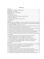 Huy động và sử dụng các nguồn lực tài chính thực hiện Chương trình xây dựng Nông thôn mới tại các tỉnh trung du và miền núi phía Bắc Việt Nam