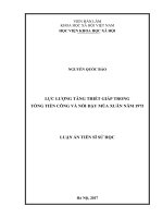 Lực lượng Tăng thiết giáp trong Tổng tiến công và nổi dậy mùa Xuân năm 1975 (LA tiến sĩ)