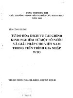 Tự do hóa dịch vụ tài chính kinh nghiệm từ một số nước và giải pháp cho việt nam trong tiến trình gia nhập WTO 