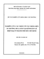 Nghiên cứu các nhân tố tác động đến xu hướng mua sắm tại kênh bán lẻ hiện đại ở thành phố hồ chí minh  đề tài nghiên cứu khoa học cấp bộ 
