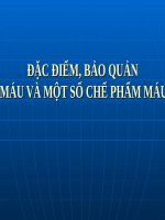 FBMạnhĐức đặc điểm, bảo quản máu và một số chế phẩm máu 