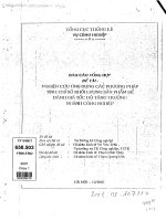 Nghiên cứu ứng dụng các phương pháp tính chỉ số khối lượng sản phẩm để đánh giá tốc độ tăng trưởng ngành công nghiệp 