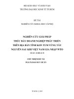 Nghiên cứu giải pháp thúc đẩy doanh nghiệp phát triển trên địa bàn tỉnh kon tum vùng tây nguyên sau khi việt nam gia nhập WTO 