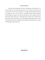 Đề tài phân tích và cho ví dụ minh họa đặc trưng về bảo hiểm, luận văn tốt nghiệp đại học, thạc sĩ, đồ án,tiểu luận tốt nghiệp 