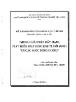 Những giải pháp đẩy mạnh phát triển hoạt động kinh tế đối ngoại với các nước đông dương 