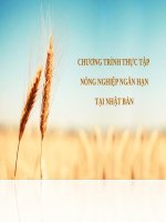 Chương trình thực tập nông nghiệp nhật bản 2017