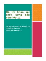 Đề thi khảo sát chất lượng đầu năm lớp 11  toán văn anh