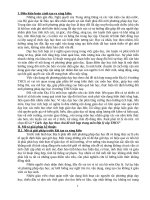 Sáng kiến kinh nghiệm cách dạy học theo chủ đề tích hợp trong môn địa lý cấp THCS 