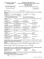 Đề thi thử THPTQG môn Tiếng Anh (đề số 4)