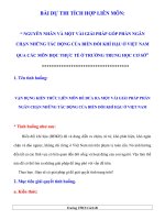 Vận dụng kiến thức liên môn để đưa ra một vài giải pháp phần ngăn chặn những tác động của biến đổi khí hậu ở việt nam 