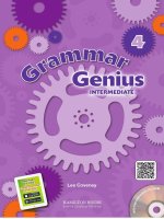 grammar genius 4 sb with key 