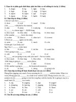 Đề kiểm tra HK2 Tiếng Anh 6