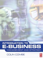 Introduction to e business manageme