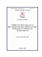 Nghiên cứu mức xâm lấn và bộc lộ gen TP53, Ki67 trong ung thư tế bào đáy và tế bào vảy vùng da đầu mặt cổ (LA tiến sĩ)