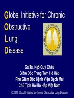 GS chau GOLD 2017 COPD