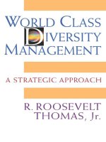 world class diversity management a strategic approach 