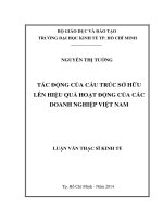 Tác động của cấu trúc sở hữu lên hiệu quả hoạt động của các doanh nghiệp việt nam 