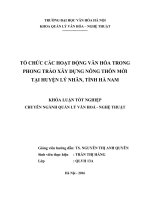 Tổ chức các hoạt động văn hóa trong phong trào xây dựng nông thôn mới tại huyện lý nhân, tỉnh hà nam (tt) 