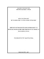 Thiết kế vector chuyển gene interleukin 7 và bước đầu đánh giá biểu hiện protein ở cây thuốc lá (NCKH)