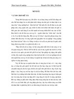 Nghiên cứu năng lực trí tuệ và học lực của học sinh trường THPT Bình Xuyên, Vĩnh Phúc (Khóa luận tốt nghiệp)