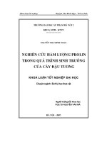 Nghiên cứu hàm lượng Prolin trong quá trình sinh trưởng của cây đậu tương (Khóa luận tốt nghiệp)