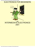 Electronics for beginners 