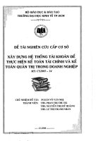 Xây dựng hệ thống tài khoản để thực hiện kế toán tài chính và kế toán quản trị trong doanh nghiệp 