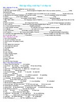 Bài tập tiếng anh 7 có đáp án