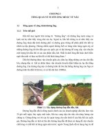 TÍNH TOÁN THIẾT KẾ BẢO VỆ CA TỐT CHO TUYẾN  ỐNG NỘI MỎ SƯ TỬ NÂU