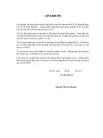 Nghiên cứu xử lý nâng cao nước thải chứa thuốc nhuộm hoạt tính bằng phương pháp điện hóa với điện cực chọn lọc (LA tiến sĩ)