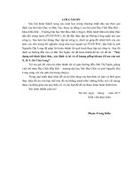 Xây dựng mô hình khai thác, xác định vị trí và số lượng giếng khoan tối ưu của mỏ X, lô Y, bể Cửu Long