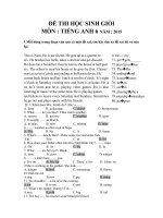 Đề thi hsg Tiếng Anh 6 có đáp án