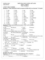 Đề giữa kì II Tiếng Anh 6 thí điểm kì