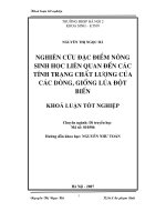Nghiên cứu đặc điểm nông sinh học liên quan tới các tính trạng chất lượng của các dòng, giống lúa đột biến (Khóa luận tốt nghiệp)