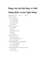 hai long ve chat luong dich vu cua ngan hang BIDV gia lai