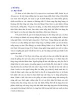 Nghiên cứu ảnh hưởng của phân bón lá a2 đến sinh trưởng, năng suất và tình hình sâu bệnh hại trên giống cà chua lai f1 grandevan 3963 vụ xuân hè 2017 tại khu thực hành thực nghiệm khoa nông lâm ngư nghiệp trường đại học hồng  