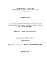 ảnh hưởng của phân bón đến sự sinh trưởng và năng suất của 1 số giống cà chua mới trồng trong vụ đông tại gia lộc   hải dương 