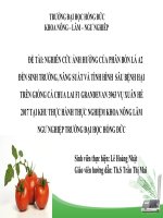 NGHIÊN CỨU ẢNH HƯỞNG CỦA PHÂN BÓN LÁ A2  ĐẾN SINH TRƯỞNG, NĂNG SUẤT VÀ TÌNH HÌNH  SÂU BỆNH HẠI TRÊN GIỐNG CÀ CHUA LAI F1