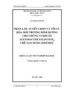 Phân lập, tuyển chọn, và tối ưu hoá môi trường dinh dưỡng cho chủng Acetobacter Xylnum H6, Chế tạo màng sinh học (Khóa luận tốt nghiệp)