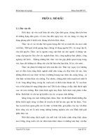 Bước đầu nghiên cứu hình thái, giải phẫu thích nghi với chức năng của một số loài trong họ củ nâu (Khóa luận tốt nghiệp)