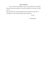 Nghiên cứu ảnh hưởng của phân bón lá a2 đến sinh trưởng, năng suất và tình hình sâu bệnh hại trên giống cà chua lai f1 grandevan 3963 vụ xuân hè 2017 tại khu thực hành thực nghiệm khoa nông lâm ngư nghiệp trường đại học hồng  (2) 