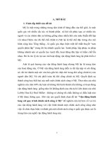 Vận động hành lang với quy trình chính sách công ở mỹ  tiểu luận cao học