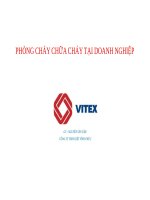 BÀI GIẢNG PHÒNG CHÁY CHỮA CHÁY tại DOANH NGHIỆP, Công ty dệt VĨnh phúc