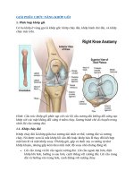 GIẢI PHẪU CHỨC NĂNG KHỚP