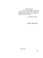 Phát huy vai trò thanh niên trong xây dựng môi trường văn hóa ở đơn vị cơ sở quân đội nhân dân việt nam hiện nay