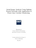 Aerial image analysis using spiking neural networks with application to power line corridor monitoring 