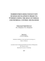 Ambidextrous behaviour in new business development projects understanding the role of formal and informal control mechanisms 