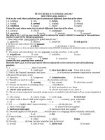 Ôn thi học kỳ 2 lớp 11 môn Tiếng Anh